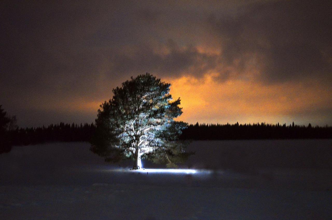 Nordic Lapland Frevisoren Båtskärsnäs Exterior foto